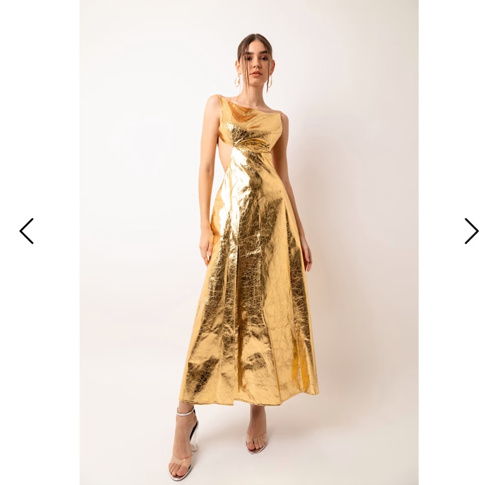 Amy Linn Gold Dress Wolf and Badger size large